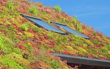 Gipsey Bridge living roof systems